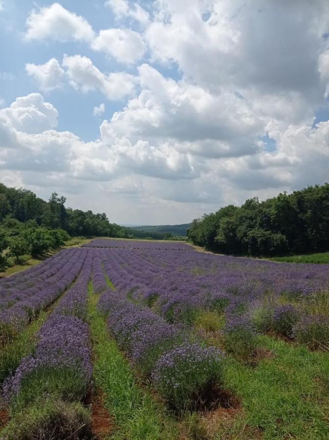 Alloggio La Perla, Quiete Ed Eleganza Con Vista Barbarano Vicentino Extérieur photo