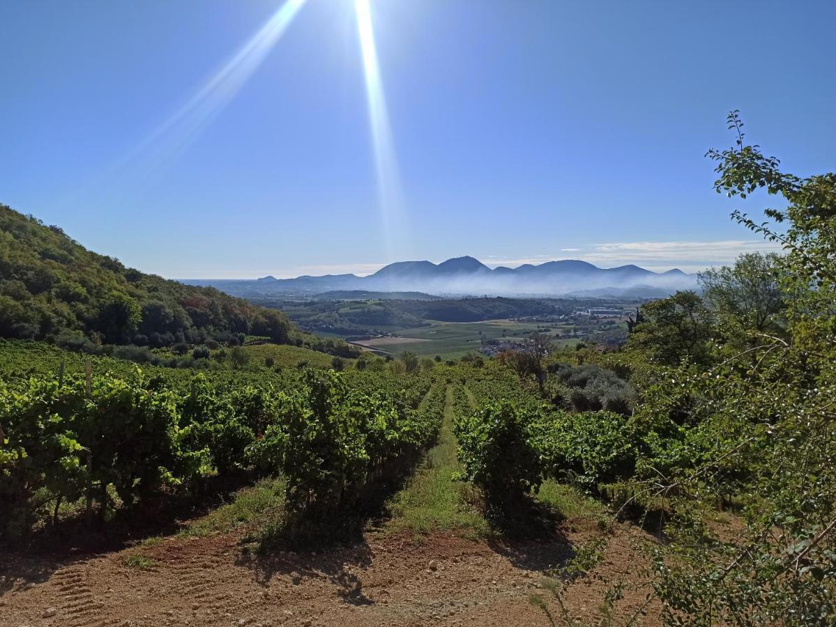Alloggio La Perla, Quiete Ed Eleganza Con Vista Barbarano Vicentino Extérieur photo