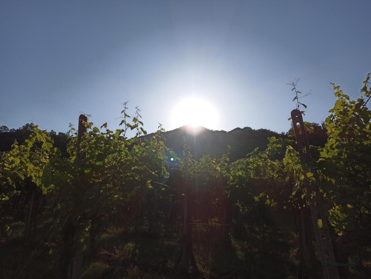 Alloggio La Perla, Quiete Ed Eleganza Con Vista Barbarano Vicentino Extérieur photo
