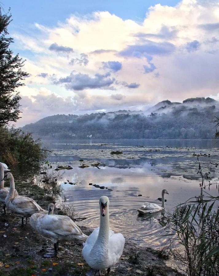 Alloggio La Perla, Quiete Ed Eleganza Con Vista Barbarano Vicentino Extérieur photo