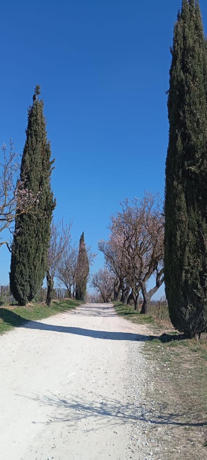 Alloggio La Perla, Quiete Ed Eleganza Con Vista Barbarano Vicentino Extérieur photo